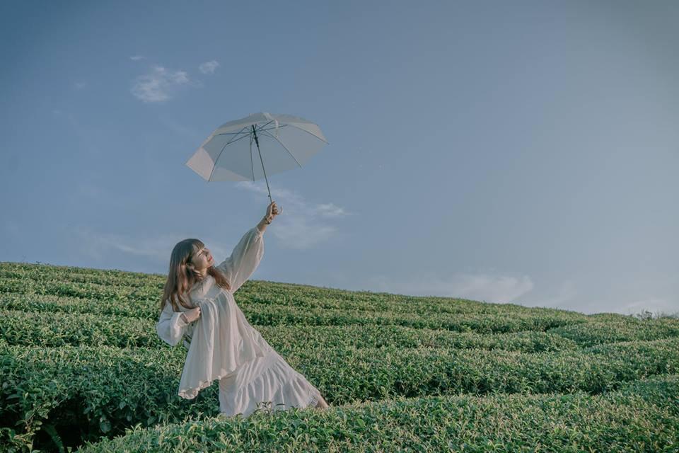 Rủ đám bạn đi check-in ngay những đồi chè đẹp thơ mộng nhất Việt Nam-8