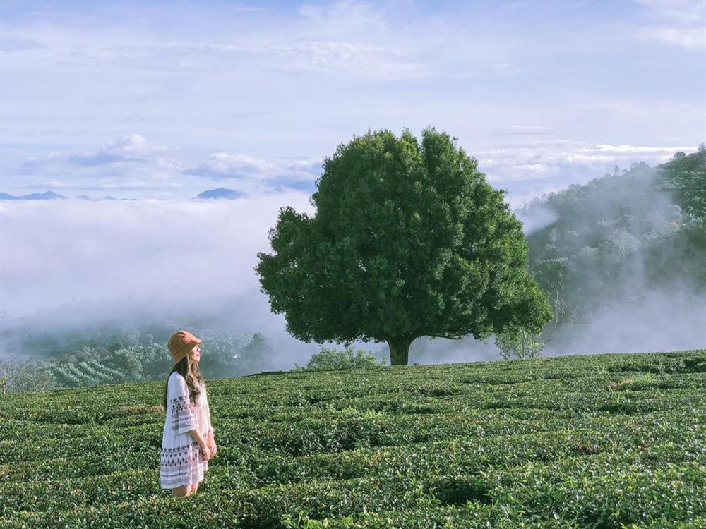 Rủ đám bạn đi check-in ngay những đồi chè đẹp thơ mộng nhất Việt Nam-15