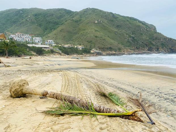 Bãi biển Quy Nhơn 1 ngày sau bão số 9: Khung cảnh tan hoang, các công trình du lịch bị phá hủy gần như toàn bộ-6