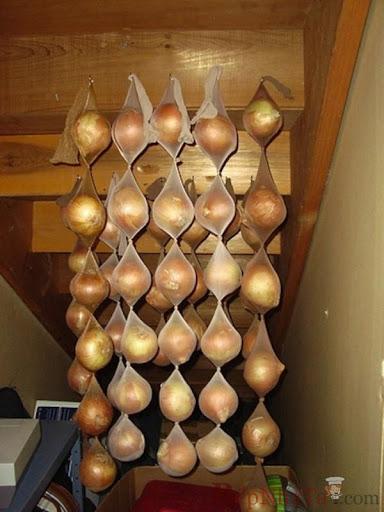 Mẹo kéo dài tuổi thọ cho rau củ, quả tươi ngon hơn mà hội chị em không hay biết-4