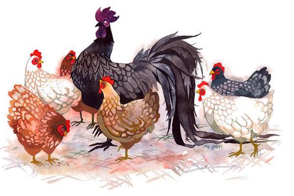 Trong nhà dùng những đồ này bảo sao bần hàn, làm ăn thất bát-3