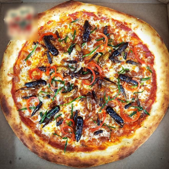 Hà Nội xuất hiện món pizza có topping châu chấu, ve sầu, dế mèn nhìn mà hốt-1