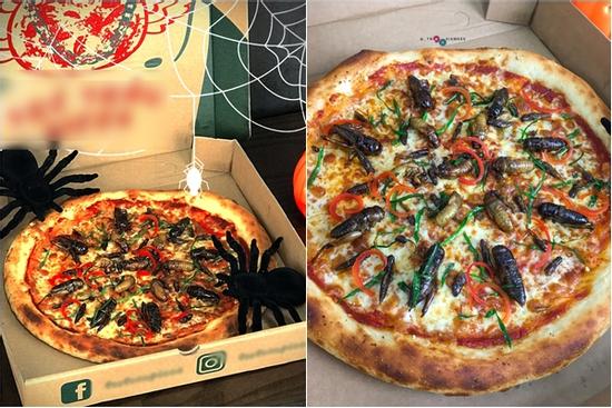 Hà Nội xuất hiện món pizza có topping châu chấu, ve sầu, dế mèn nhìn mà hốt