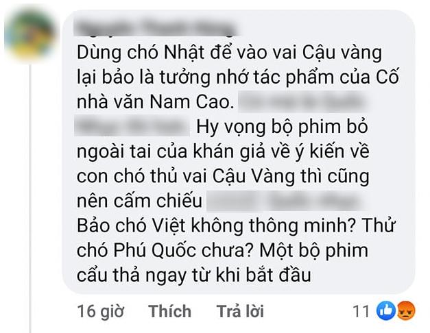 Xôn xao tin fanpage phim Cậu Vàng mắng lại dân mạng là thứ nghèo hèn ngu dốt, không bao giờ so sánh được-3