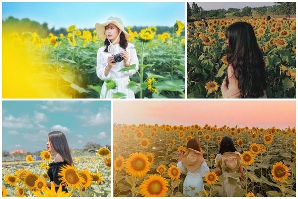 Đi tìm các bức tường check-in nhìn là thấy Hà Nội khiến giới trẻ phải lòng-6