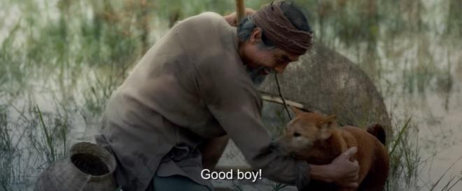 Nhà sản xuất Cậu Vàng xin lỗi sau khi xúc phạm khán giả-1