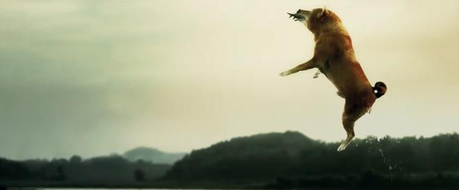 Nhà sản xuất Cậu Vàng xin lỗi sau khi xúc phạm khán giả-2