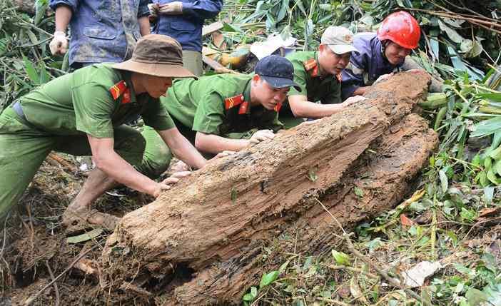 500 cán bộ, chiến sĩ cùng chó nghiệp vụ dầm mưa tìm người mất tích ở Trà Leng-3