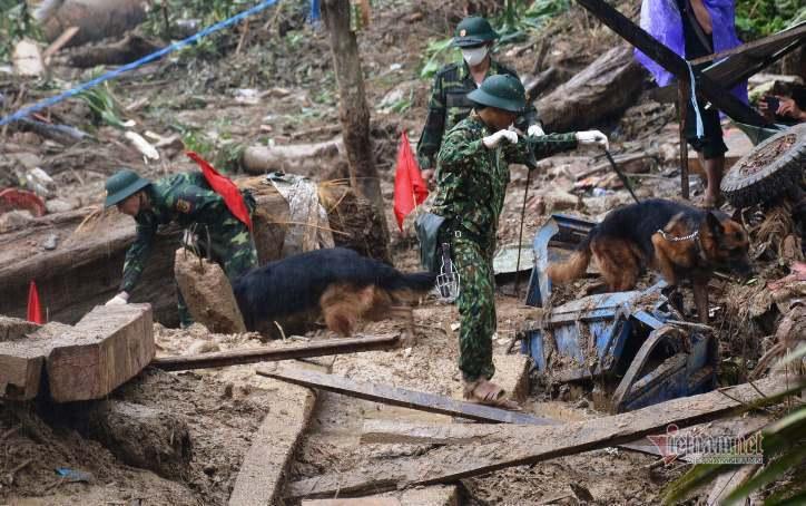 500 cán bộ, chiến sĩ cùng chó nghiệp vụ dầm mưa tìm người mất tích ở Trà Leng-8