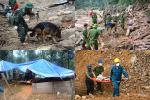 500 cán bộ, chiến sĩ cùng chó nghiệp vụ dầm mưa tìm người mất tích ở Trà Leng