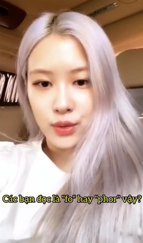 Hàng loạt sao Hàn phát cuồng với những món ăn Việt Nam-11