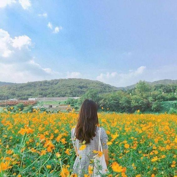 Tử vi 12 cung hoàng đạo thứ hai, ngày 2/11/2020: Bảo Bình tràn đầy năng lượng, Sư Tử dục tốc bất đạt-1