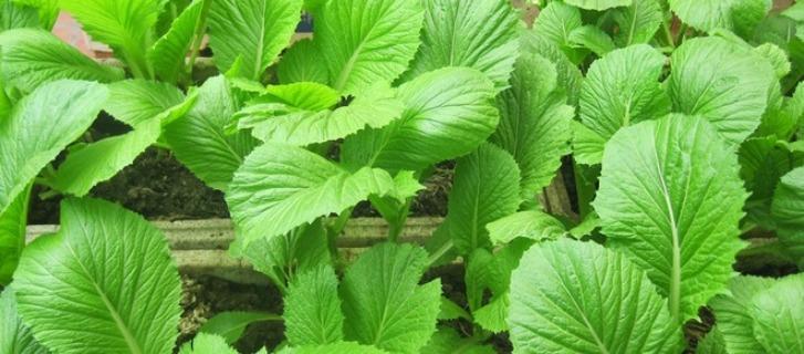 Cách bạn hy sinh vì tình yêu tiết lộ cuộc sống tương lai có hạnh phúc hay không-2