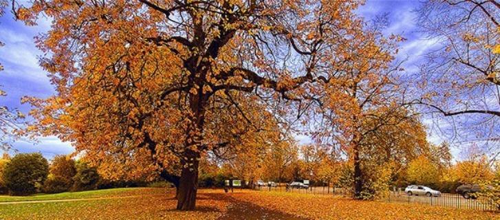 Cách bạn hy sinh vì tình yêu tiết lộ cuộc sống tương lai có hạnh phúc hay không-3