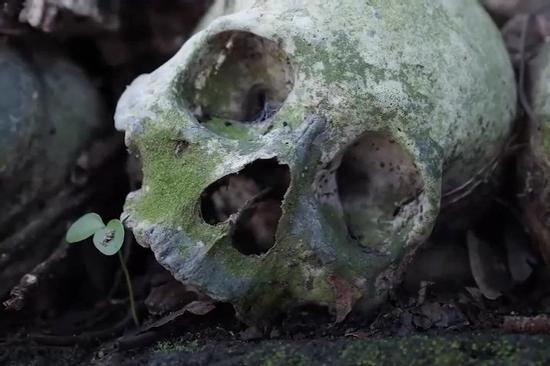 Cách mai táng người chết đặc biệt ở Bali