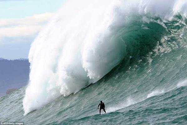 Giải cứu 120 con cá voi mắc kẹt ở bờ biển Sri Lanka-1