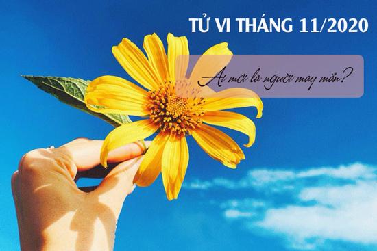 'Tất tần tật' về tử vi tháng 11/2020 của 12 con giáp