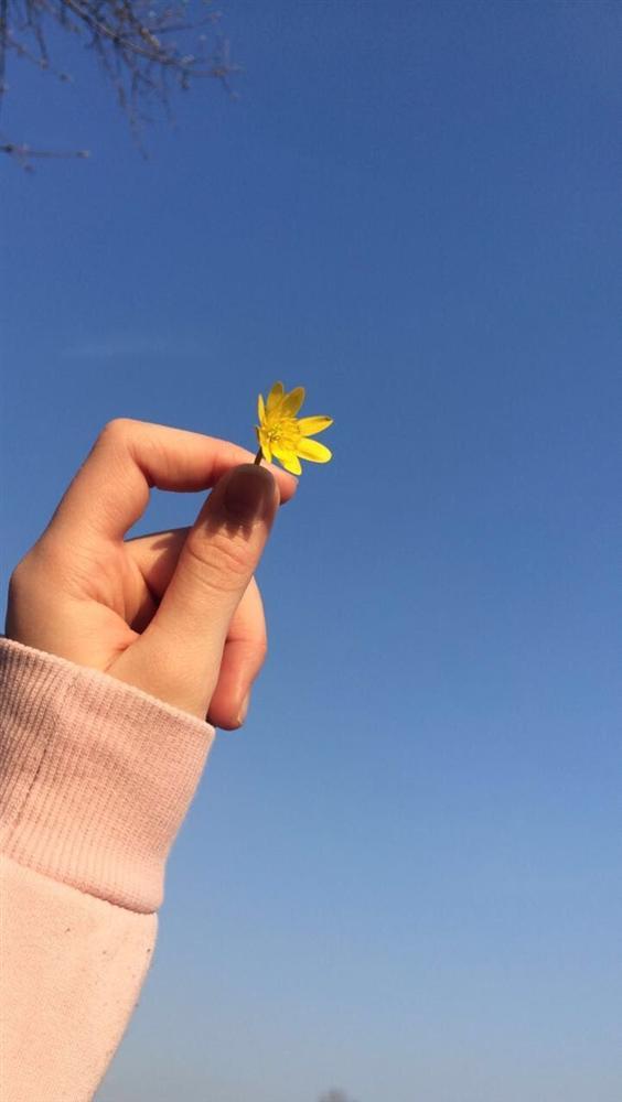 3 con giáp bề ngoài lạnh lùng bên trong ấm áp, cuộc sống sau 30 tuổi giàu có không ai sánh bằng-2