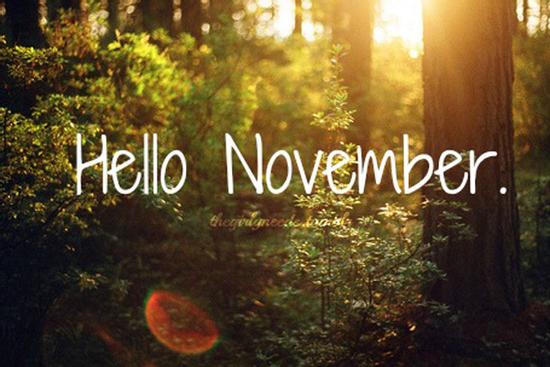 Cầu được ước thấy, những cung hoàng đạo tiền bạc dồi dào, tình yêu rực rỡ tháng 11