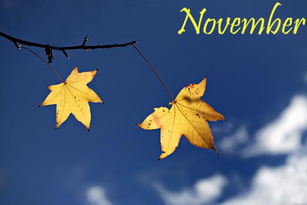 Cầu được ước thấy, những cung hoàng đạo tiền bạc dồi dào, tình yêu rực rỡ tháng 11-2