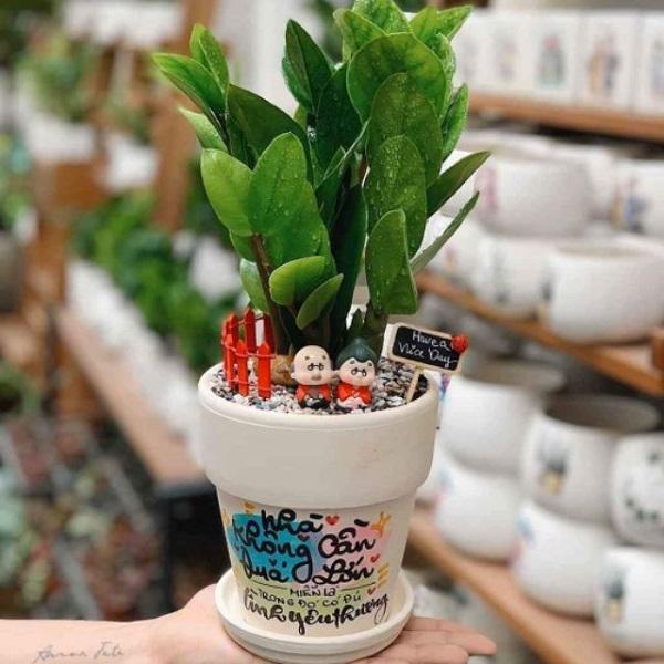 Loài cây mang đến may mắn cho 3 con giáp Tý - Mão - Thìn những tháng cuối năm 2020-1