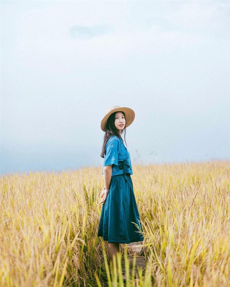 Các điểm ngắm mây đẹp ở Sa Pa, Tam Đảo-8