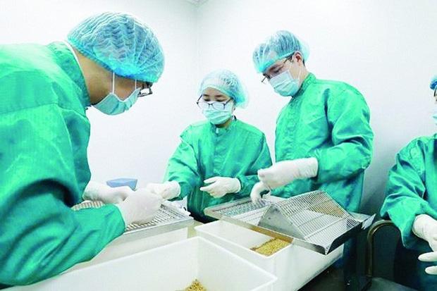 Việt Nam thử nghiệm vắc-xin Covid-19 trên người tình nguyện trong tháng 11-2
