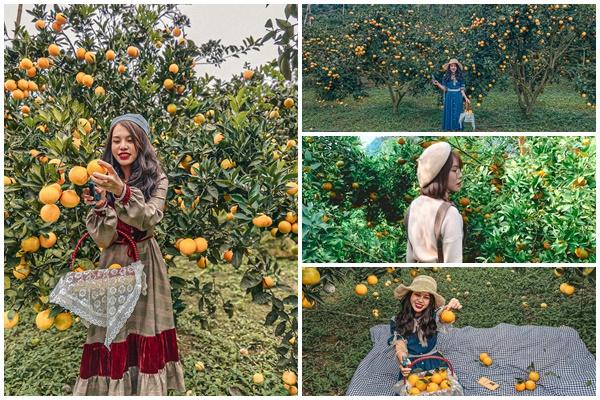 Những điểm check-in hoa mận trắng nở cực đẹp ở Mộc Châu vào mùa này-14