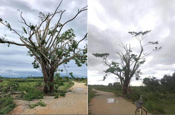 Xót xa những địa điểm check-in nổi tiếng bị thiên nhiên quật ngã-1