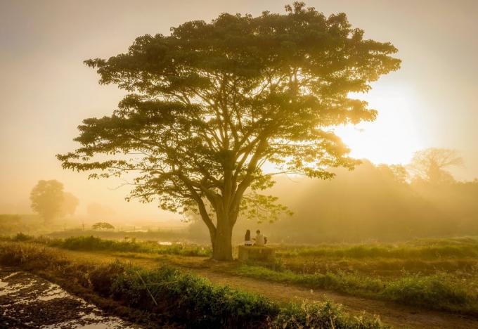 Xót xa những địa điểm check-in nổi tiếng bị thiên nhiên quật ngã-2