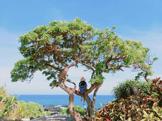 Xót xa những địa điểm check-in nổi tiếng bị thiên nhiên quật ngã-12