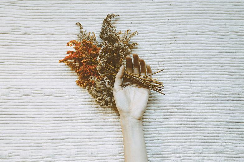 Tử vi 12 cung hoàng đạo ngày 4/11/2020 có gì mới, Bạch Dương liệu có lên ngôi?-4