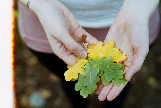 Tử vi 12 cung hoàng đạo ngày 4/11/2020 có gì mới, Bạch Dương liệu có lên ngôi?-2