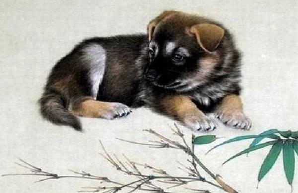 Top 3 con giáp giận quá mất khôn thốt ra nhiều lời nói vô cùng khó chịu-3