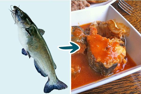 Những món cá có hại cho sức khỏe mà bạn không nên thưởng thức-1