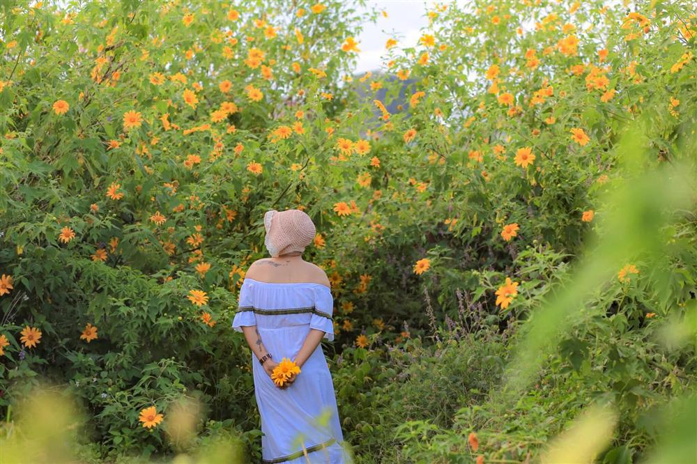 9X giả gái xuất thần hóa công chúa ngủ trong rừng, tạo dáng e ấp giữa vườn dã quỳ Đà Lạt-6