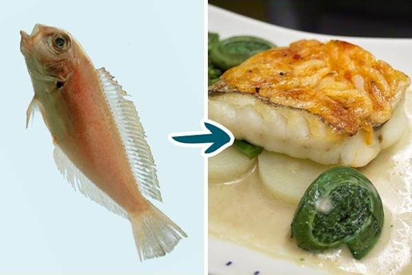 Những món cá có hại cho sức khỏe mà bạn không nên thưởng thức-5