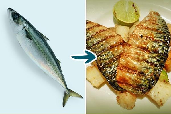 Những món cá có hại cho sức khỏe mà bạn không nên thưởng thức-2
