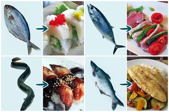 Những món cá có hại cho sức khỏe mà bạn không nên thưởng thức