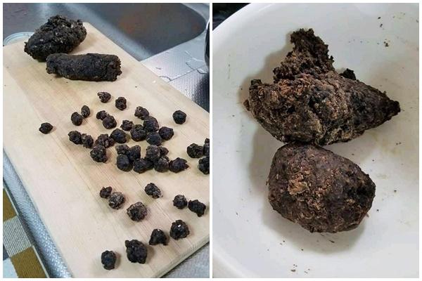 Những biến thể lạ đời từ món trân châu-13