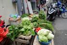 Ảnh hưởng mưa bão giá rau ở Hà Nội tăng gấp đôi: Bữa cơm tiền rau gần bằng tiền mua thịt, cá