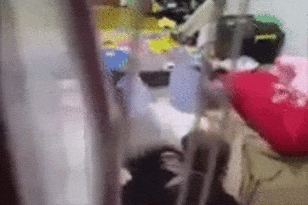 Clip: 'Sôi máu' nhìn người phụ nữ quăng quật em bé sơ sinh như món đồ chơi