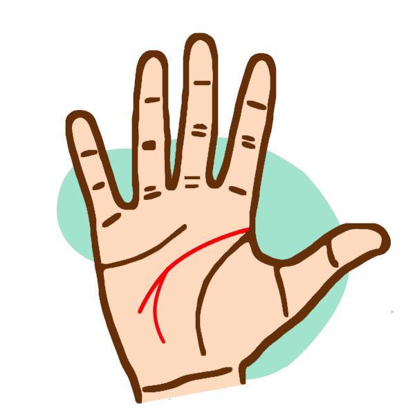 Nhìn bàn tay biết ngay người đó có số làm quan hay chỉ suốt đời làm nô bộc-2