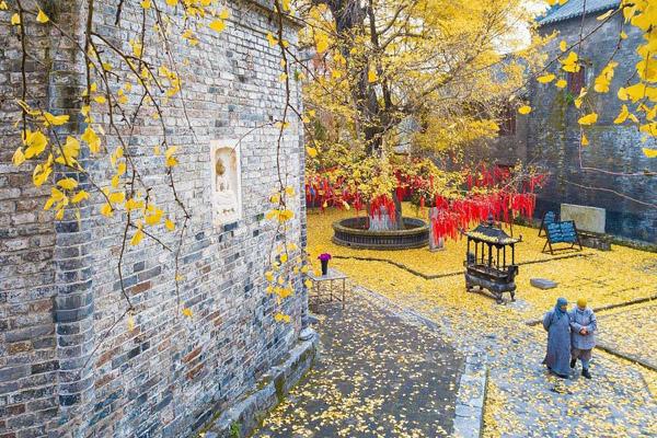 Cần gì đi Hàn, sát Sài Gòn cũng có nơi check-in lá vàng lãng mạn-11