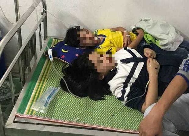 Nghệ An: Hàng chục học sinh bị ong đốt phải cấp cứu-2