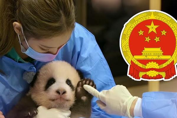 YG hủy chiếu show sau khi BlackPink bị chỉ trích-3