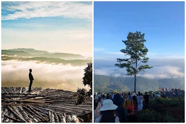 Đà Lạt với những cú lừa khiến team mê du lịch phải vỡ mộng-1