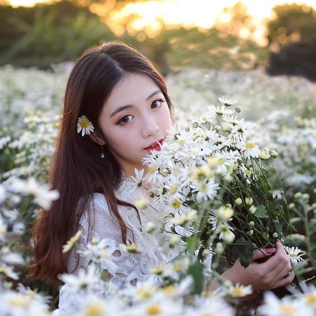 Định vị ngay những tọa độ chụp Cúc Họa Mi đẹp nhất Hà Nội vào mùa này-3