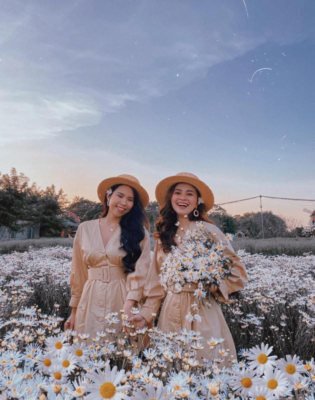 Định vị ngay những tọa độ chụp Cúc Họa Mi đẹp nhất Hà Nội vào mùa này-4