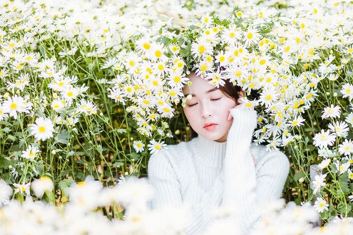 Định vị ngay những tọa độ chụp Cúc Họa Mi đẹp nhất Hà Nội vào mùa này-11